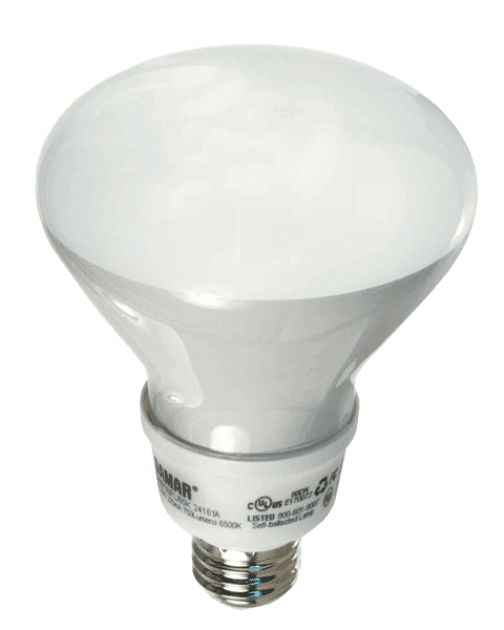 Damar 24161A Compact Fluorescent Screw-In R30 Inside Frost