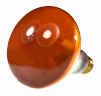 00311b.png main image