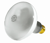 00315e.png main image