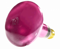 00317d.png main image