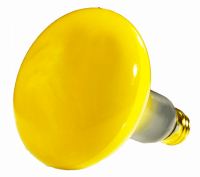 00321b.png main image