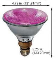 00368e.jpg main image