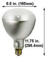 00518aspec.jpg main image