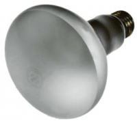 02030b.png main image