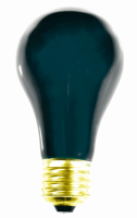 02101n.png main image