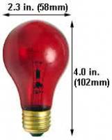 04261a.jpg main image