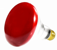 04820i.png main image