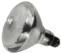 04891a.png main image