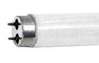 05008b.jpg main image