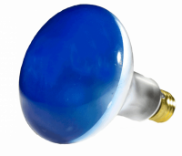 05806b.png main image