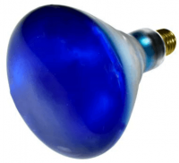 20181c.png main image