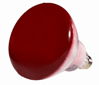 20223i.png main image