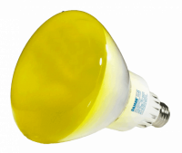 20223j.png main image