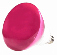 20223l.png main image