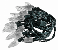 20233b.png main image