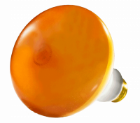 21319b.png main image