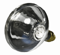 22126a.png main image