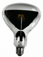 24159f.png main image