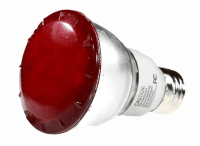 28989d.png main image