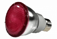 28989g.png main image